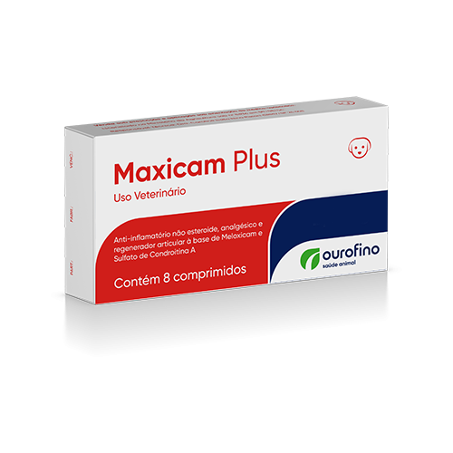 Maxicam Plus